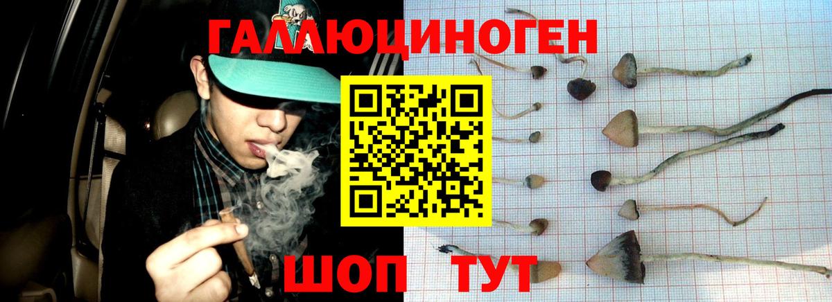 Псилоцибиновые грибы мухоморы  Галлюциногенные грибы Psilocybe  Балашов  Вход с VPN 