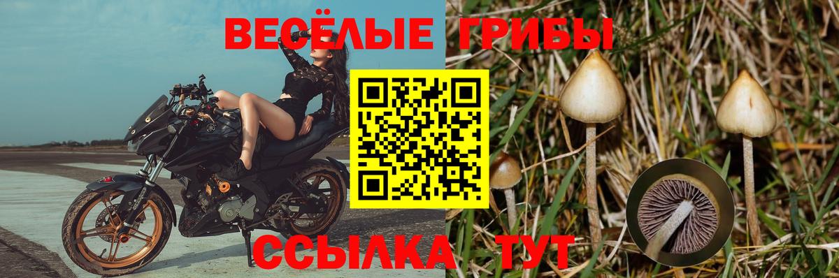 Альфа ПВП СОЛЬ кристаллы  МЕТ  Балашов  МЕФ кристаллы  Цена  Гашиш  Каннабис  КОКАИН  Вход с VPN 