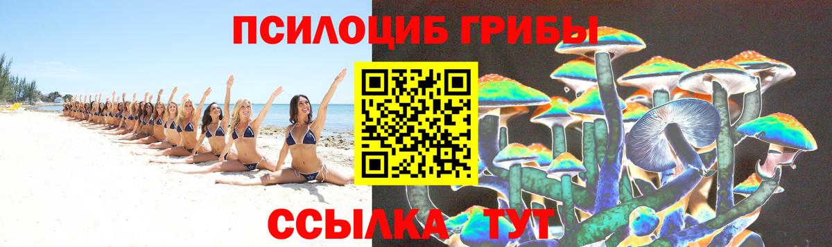 Галлюциногенные грибы Psilocybe Балашов